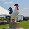 The Rooster