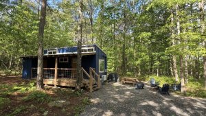 Tiny Cub House