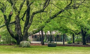 Faith Family Farmhouse