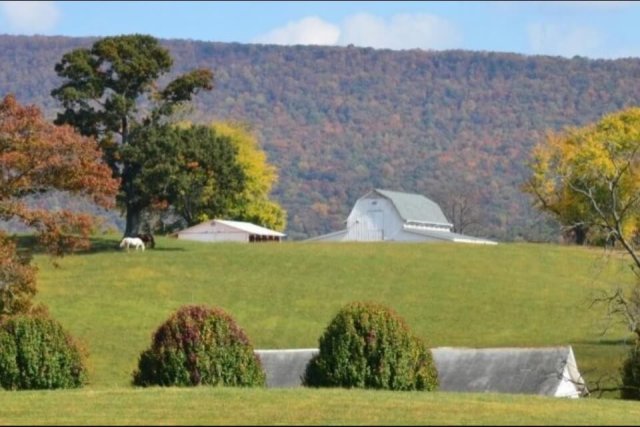 Mountain Cove Farms Resort